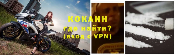мяу мяу мука Инта