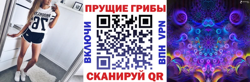 Галлюциногенные грибы прущие грибы  Купить  Катайск 